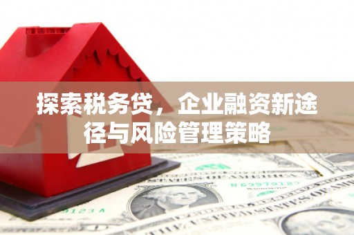 宁海探索税务贷，企业融资新途径与风险管理策略