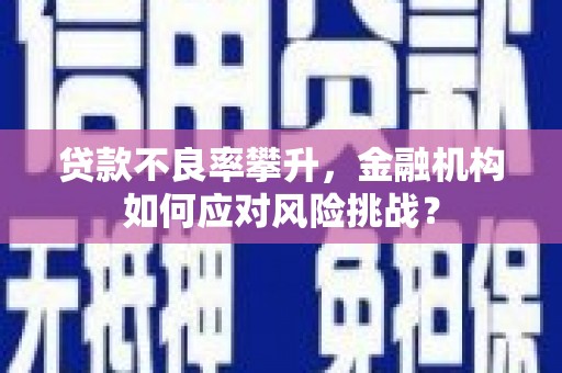 宁海贷款不良率攀升，金融机构如何应对风险挑战？