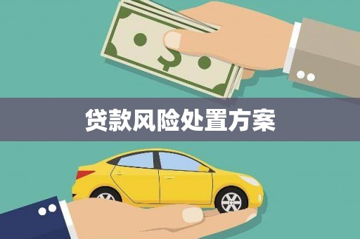 宁海贷款风险处置方案