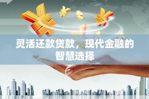 宁海灵活还款贷款，现代金融的智慧选择