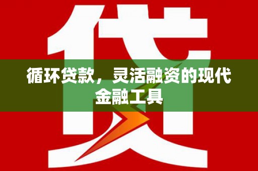 宁海循环贷款，灵活融资的现代金融工具