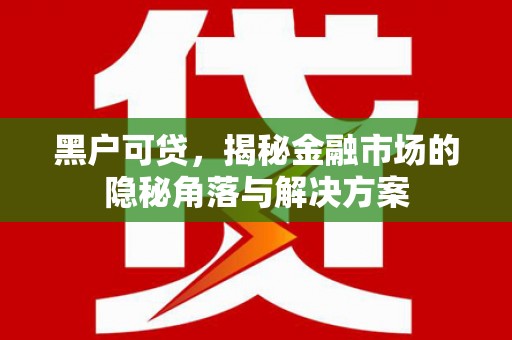 宁海黑户可贷，揭秘金融市场的隐秘角落与解决方案