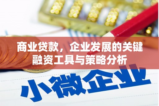 宁海商业贷款，企业发展的关键融资工具与策略分析