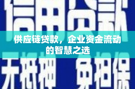 宁海供应链贷款，企业资金流动的智慧之选