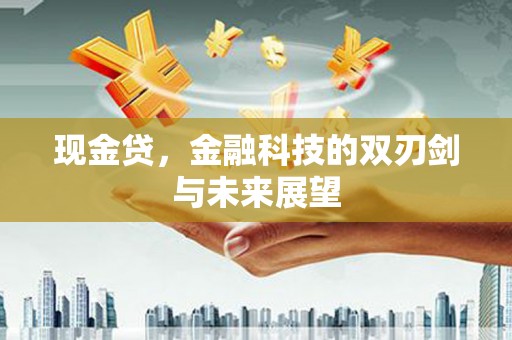 宁海现金贷，金融科技的双刃剑与未来展望