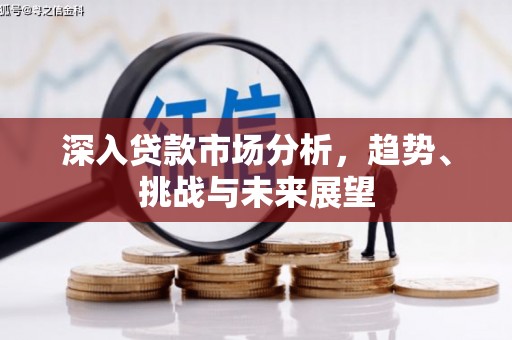 宁海深入贷款市场分析，趋势、挑战与未来展望