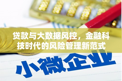 宁海贷款与大数据风控，金融科技时代的风险管理新范式