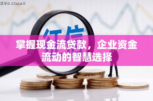宁海掌握现金流贷款，企业资金流动的智慧选择