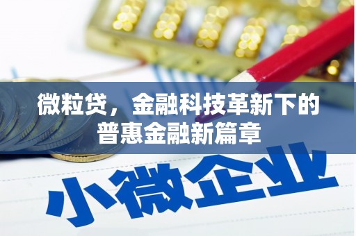 宁海微粒贷，金融科技革新下的普惠金融新篇章
