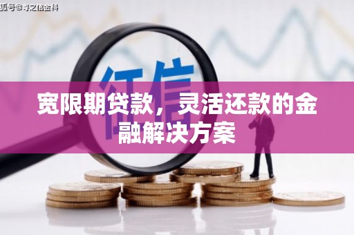 宁海宽限期贷款，灵活还款的金融解决方案