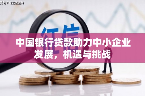 宁海中国银行贷款助力中小企业发展，机遇与挑战