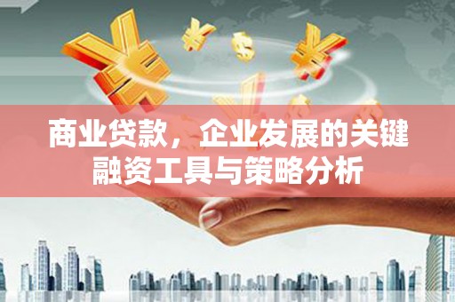 宁海商业贷款，企业发展的关键融资工具与策略分析