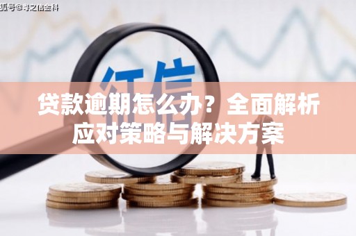 宁海贷款逾期怎么办？全面解析应对策略与解决方案