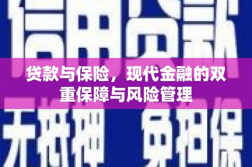 宁海贷款与保险，现代金融的双重保障与风险管理
