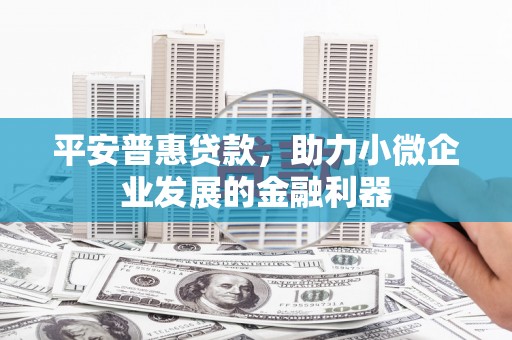 宁海平安普惠贷款，助力小微企业发展的金融利器