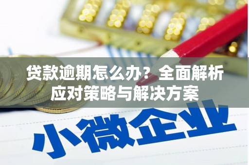 宁海贷款逾期怎么办？全面解析应对策略与解决方案