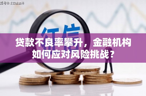 宁海贷款不良率攀升，金融机构如何应对风险挑战？
