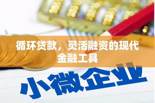 宁海循环贷款，灵活融资的现代金融工具
