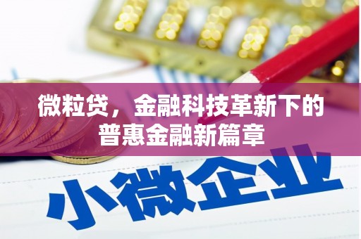 宁海微粒贷，金融科技革新下的普惠金融新篇章