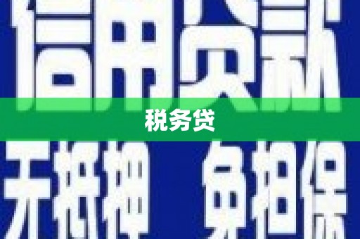 宁海税务贷