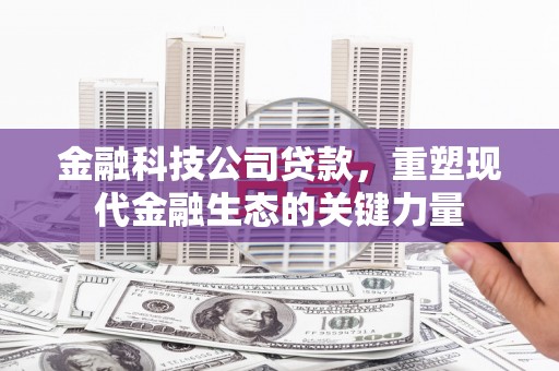 宁海金融科技公司贷款，重塑现代金融生态的关键力量