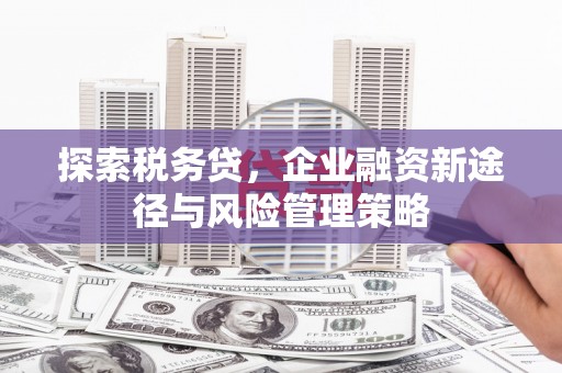 宁海探索税务贷，企业融资新途径与风险管理策略