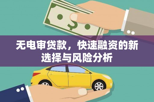 宁海无电审贷款，快速融资的新选择与风险分析