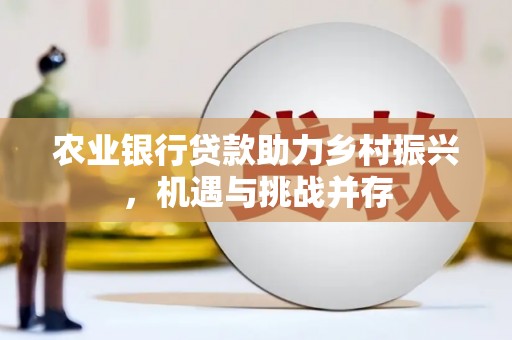 宁海农业银行贷款助力乡村振兴，机遇与挑战并存