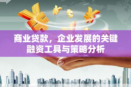 宁海商业贷款，企业发展的关键融资工具与策略分析