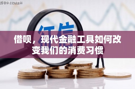 宁海借呗，现代金融工具如何改变我们的消费习惯