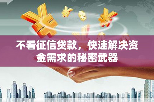 宁海不看征信贷款，快速解决资金需求的秘密武器