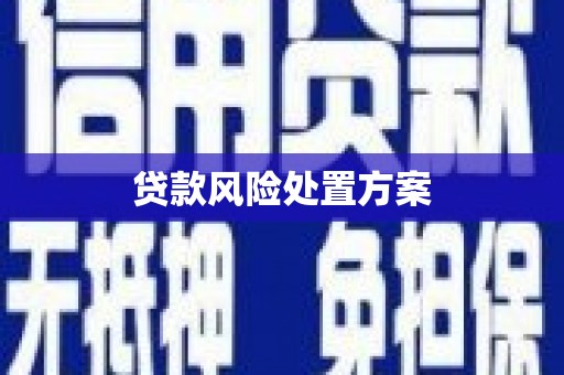 宁海贷款风险处置方案