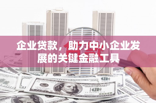 宁海企业贷款，助力中小企业发展的关键金融工具