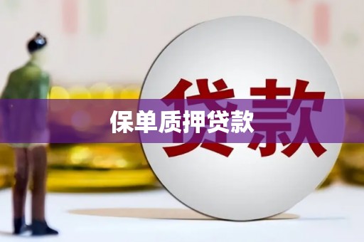 宁海保单质押贷款