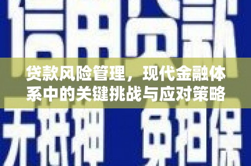 宁海贷款风险管理，现代金融体系中的关键挑战与应对策略