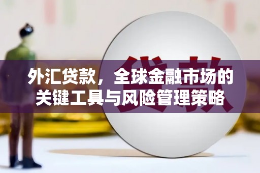 宁海外汇贷款，全球金融市场的关键工具与风险管理策略