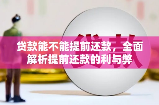 宁海贷款能不能提前还款，全面解析提前还款的利与弊