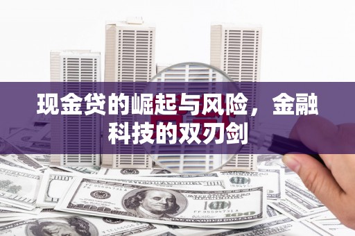 宁海现金贷的崛起与风险，金融科技的双刃剑