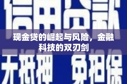 宁海现金贷的崛起与风险，金融科技的双刃剑