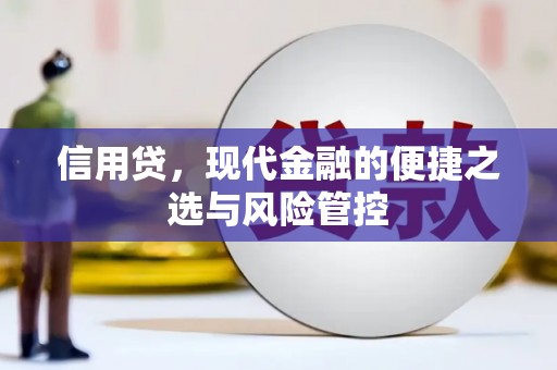 宁海信用贷，现代金融的便捷之选与风险管控
