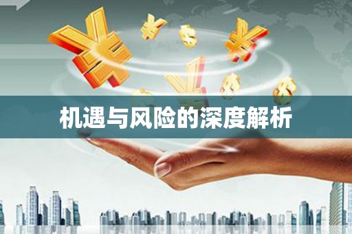 宁海机遇与风险的深度解析