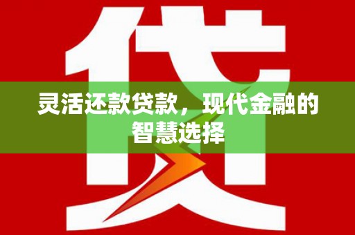 宁海灵活还款贷款，现代金融的智慧选择