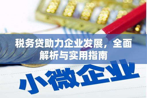 宁海税务贷助力企业发展，全面解析与实用指南