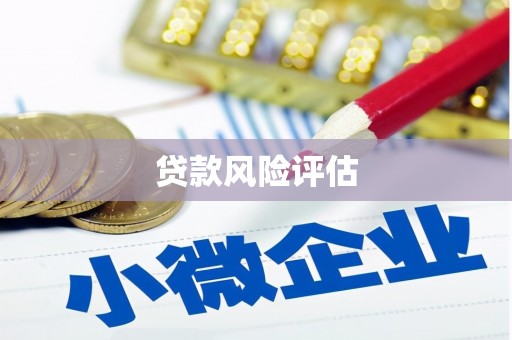 宁海贷款风险评估