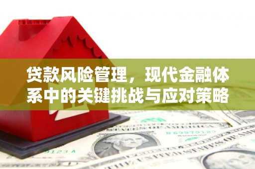宁海贷款风险管理，现代金融体系中的关键挑战与应对策略