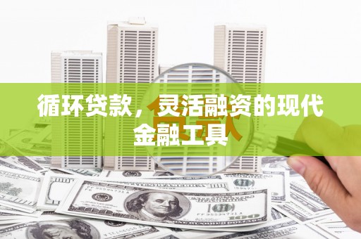 宁海循环贷款，灵活融资的现代金融工具