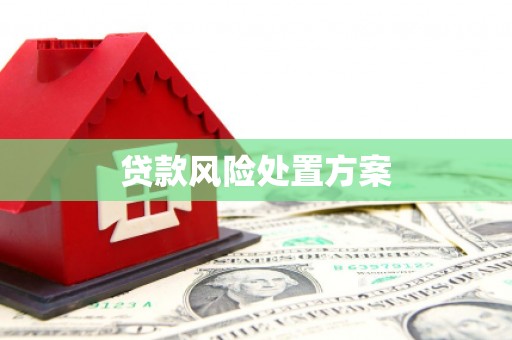 宁海贷款风险处置方案