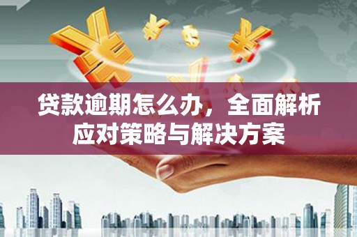 宁海贷款逾期怎么办，全面解析应对策略与解决方案
