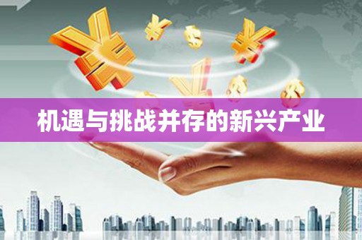 宁海机遇与挑战并存的新兴产业