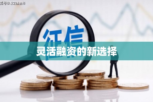 宁海灵活融资的新选择
